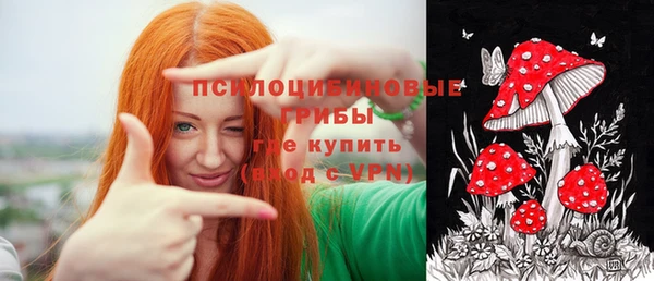 первитин Бородино