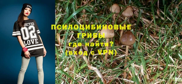 ECSTASY Бугульма
